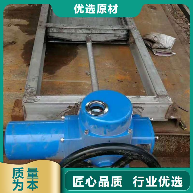  钢闸门专业品质