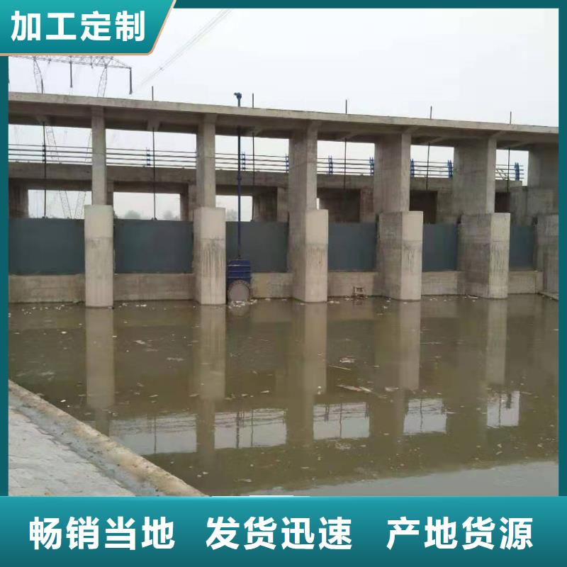 钢闸门来图定制量大从优