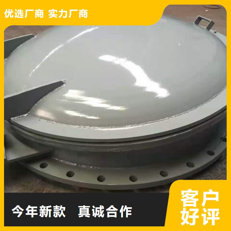 钢闸门多年实力厂家