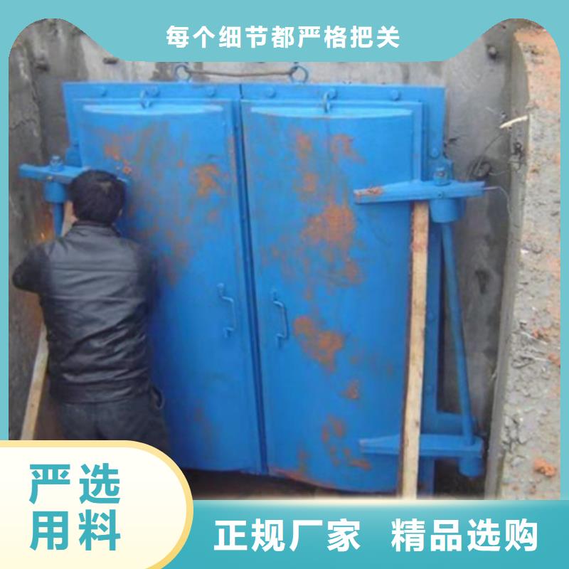 钢闸门多年行业经验
