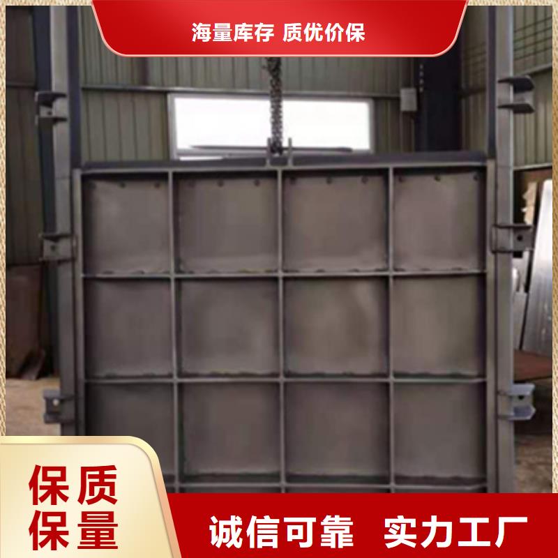 钢闸门款式新颖
