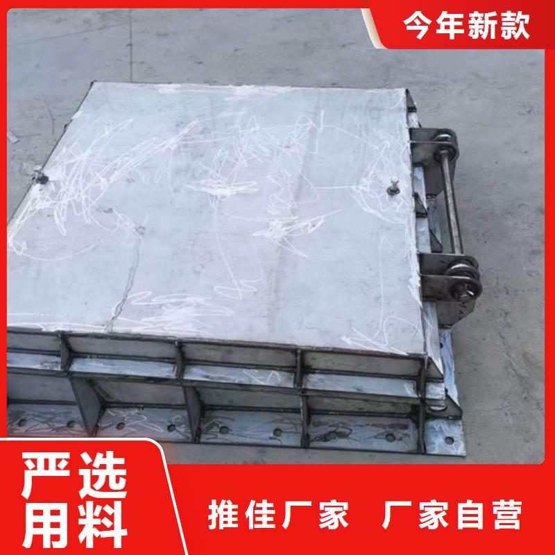 钢闸门球墨铸铁闸门源头直供