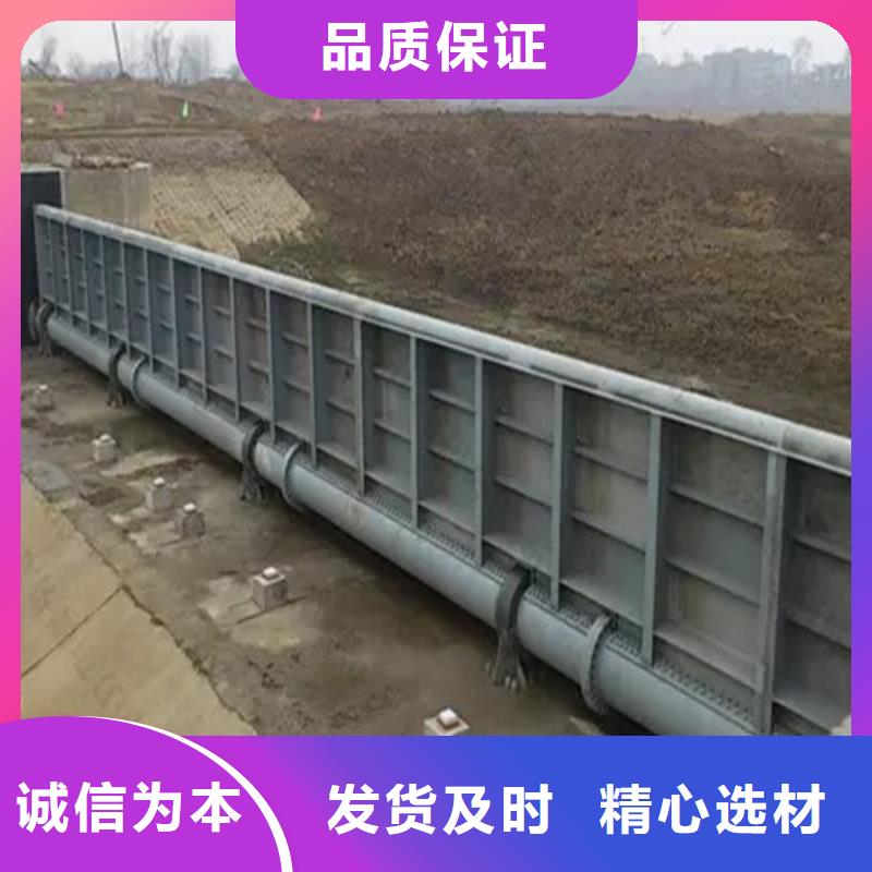 钢闸门自有厂家