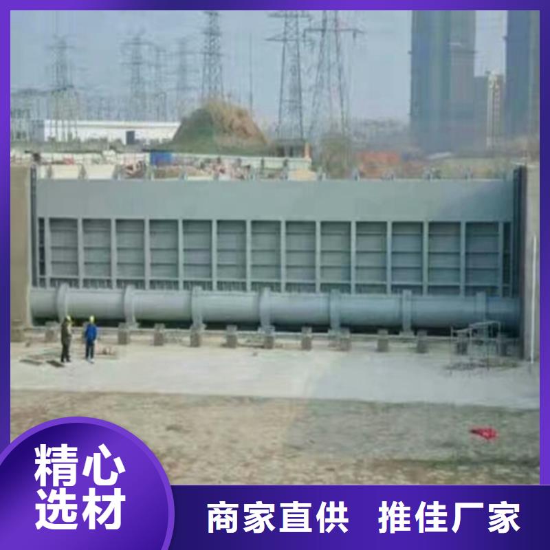 钢闸门质量优价格低