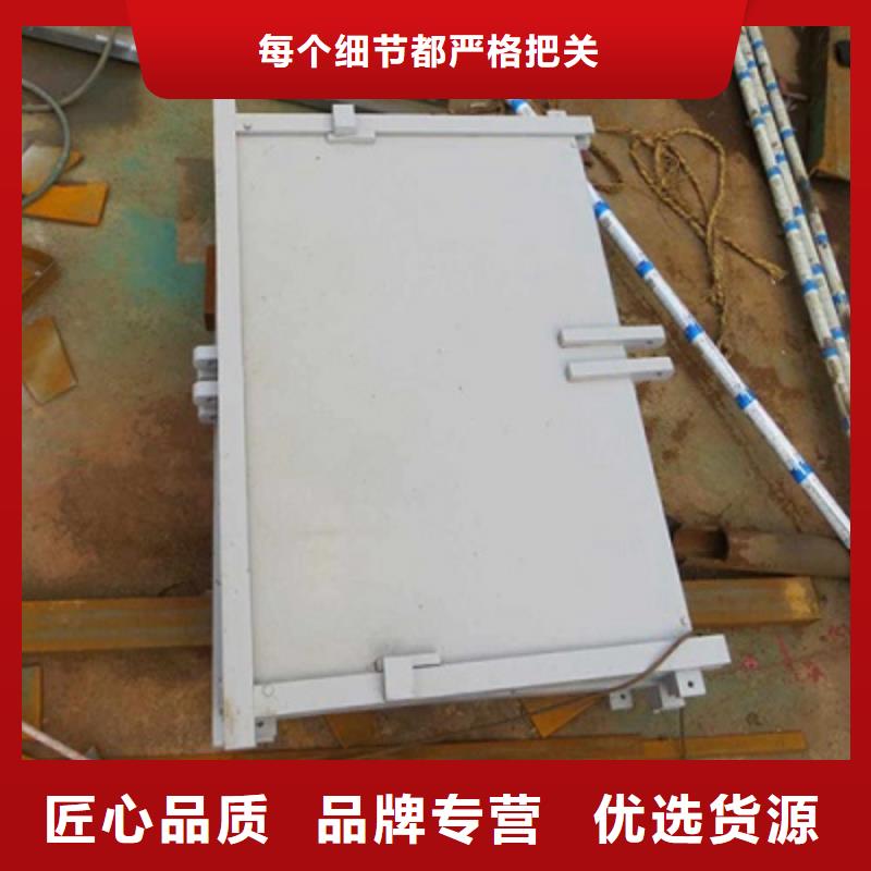 钢闸门货源直销