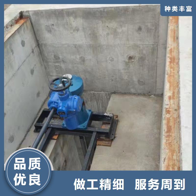 清污机闸门启闭机厂家批发货源