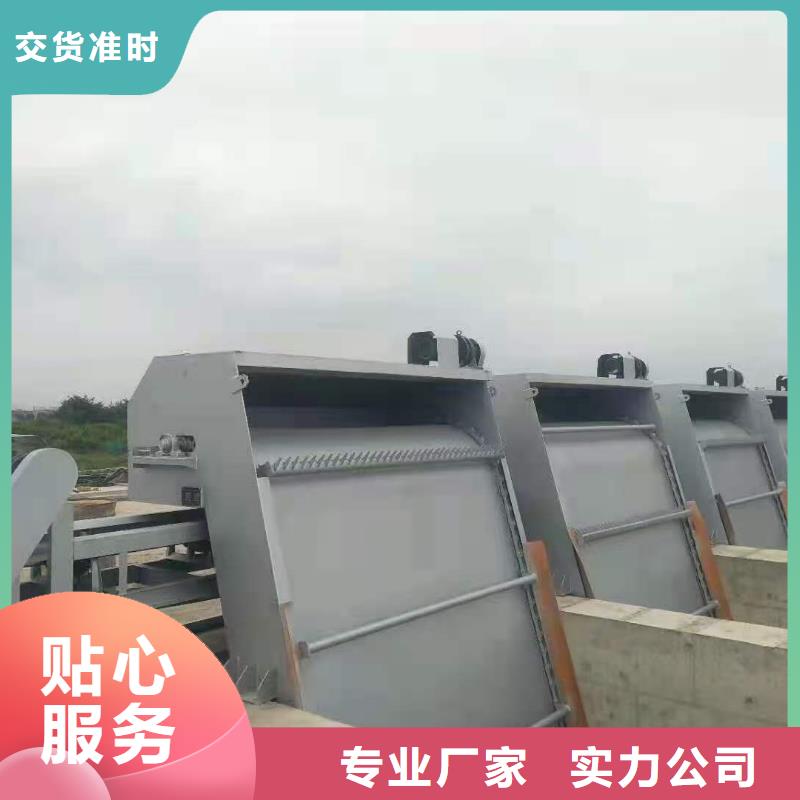清污机【拍门厂家】货源足质量好