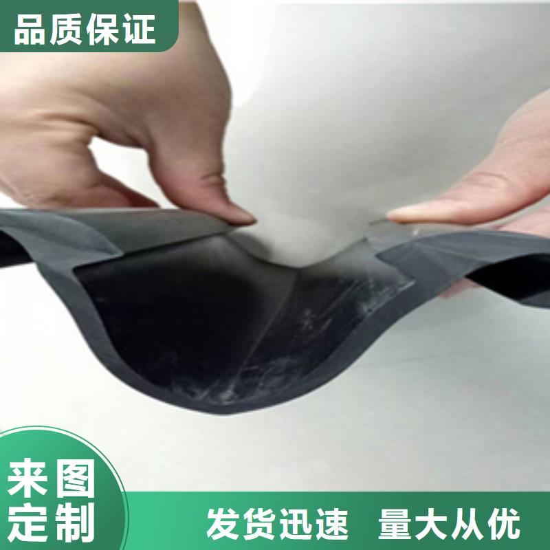 桥梁伸缩缝胶条更换施工公司