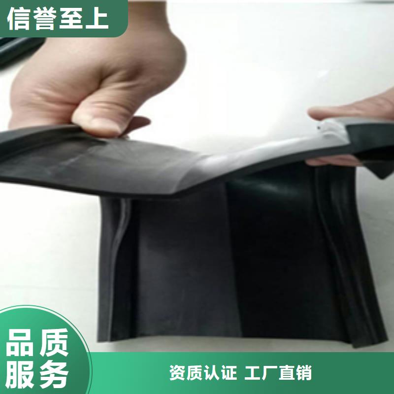 桥梁伸缩缝胶条更换施工厂家