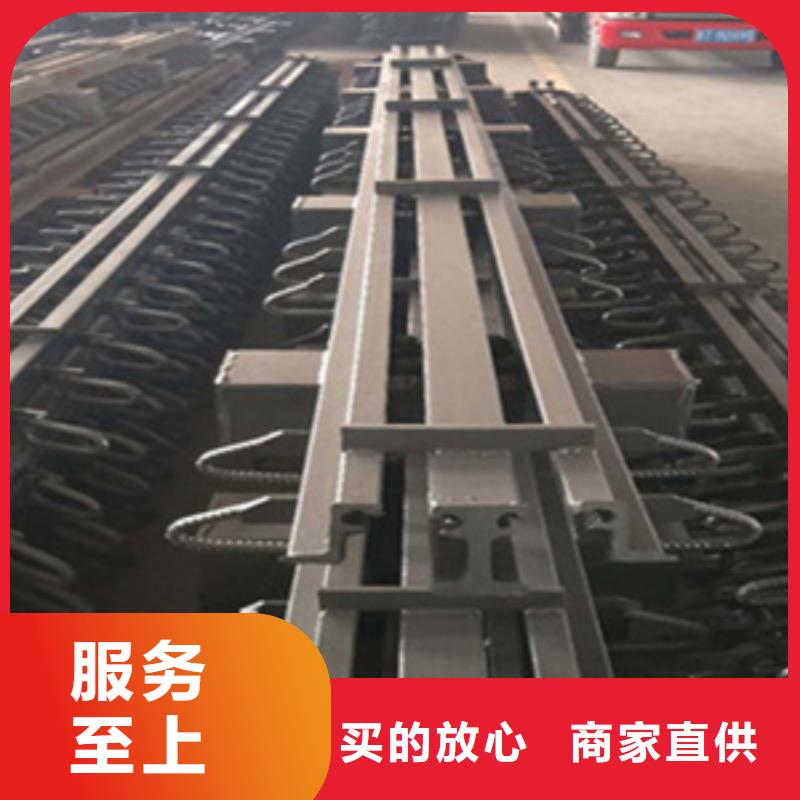桥梁伸缩缝装置F型