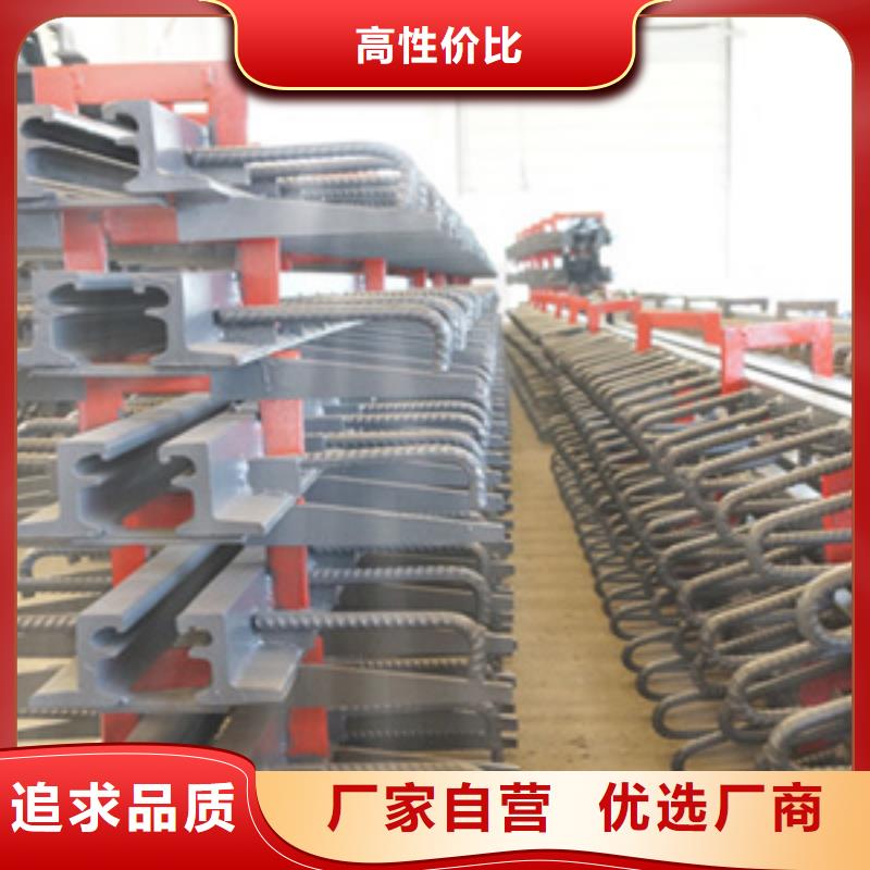 d160型桥梁伸缩缝来图定制生产厂家