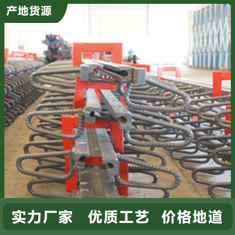 桥梁伸缩缝装置F型