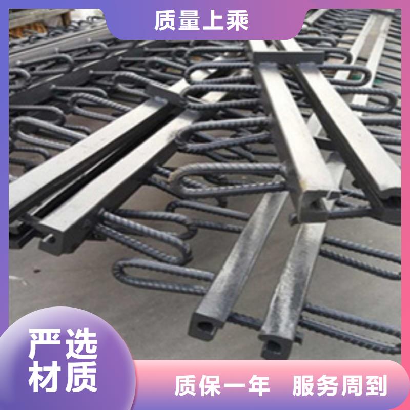 桥梁tst伸缩缝报价合理生产厂家