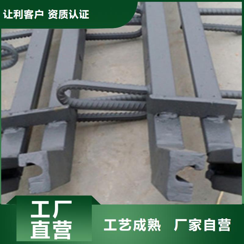 桥梁伸缩缝装置F型