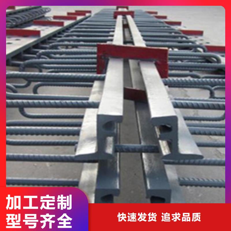 桥梁tst伸缩缝报价合理生产厂家