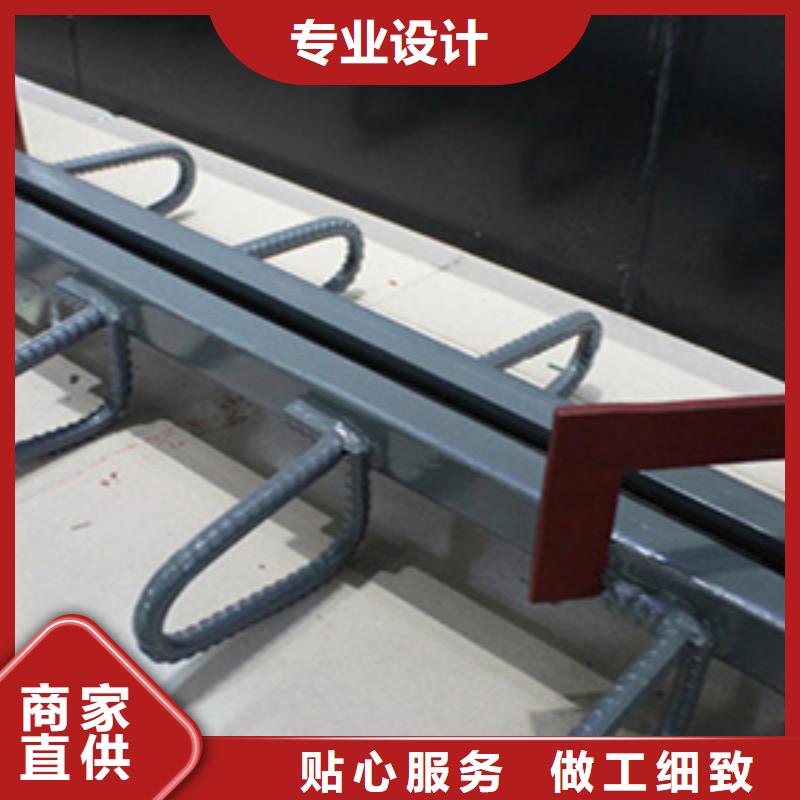 公路桥梁伸缩装置E型