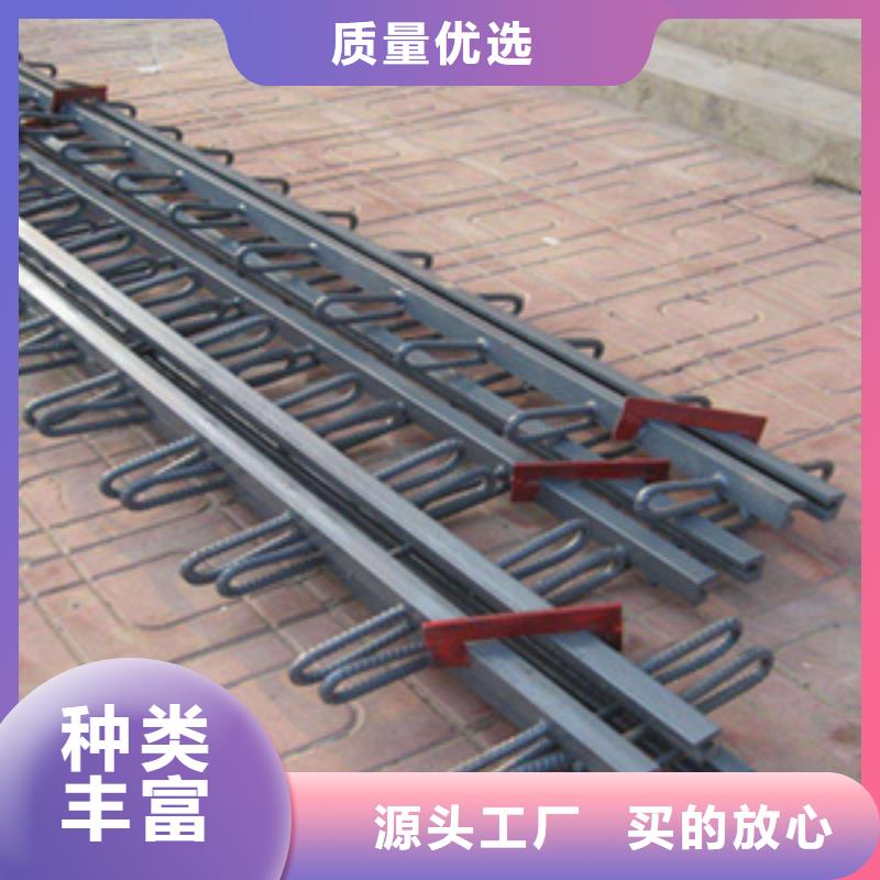 桥梁伸缩缝橡胶止水带保质保量