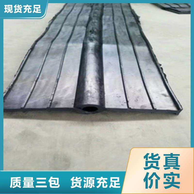钢边橡胶止水带地铁用海南保亭县