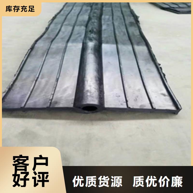 钢边橡胶止水带400*10海南东方市