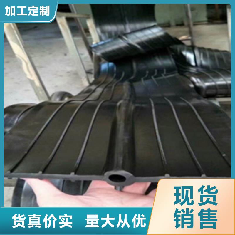 钢边橡胶止水带箱涵沉降缝用海南保亭县