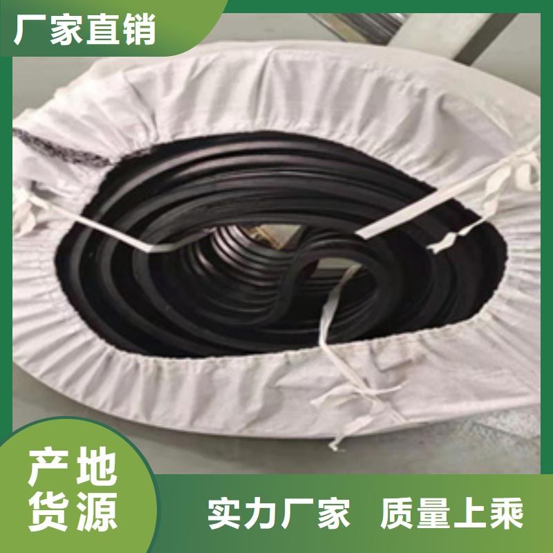 钢边橡胶止水带地铁用海南保亭县