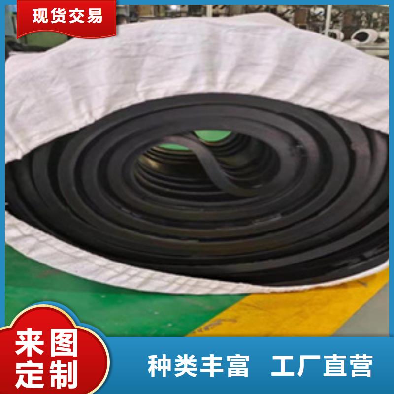 背贴式橡胶止水带厂家价格桥梁隧道用