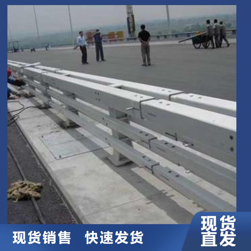 桥梁护栏厂家好货直供