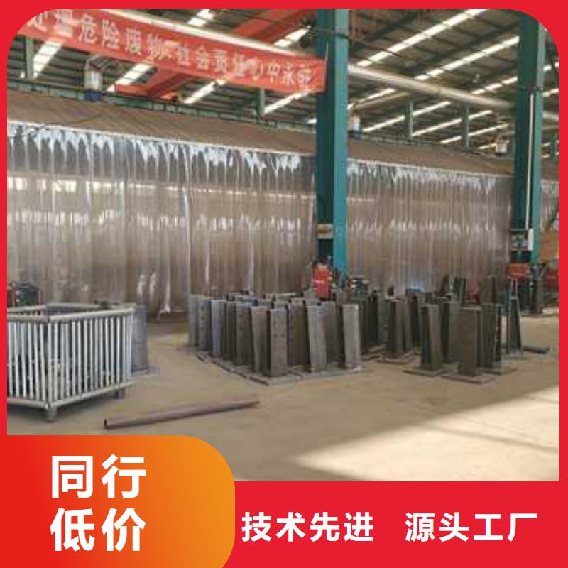 景观护栏-钢丝绳护栏实体诚信厂家