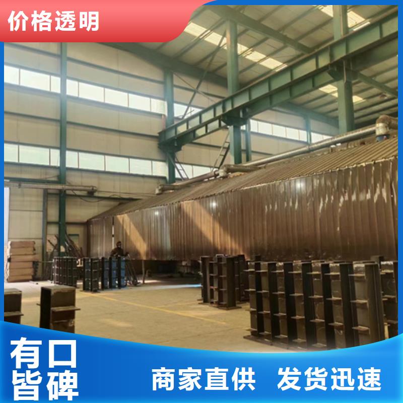 景观护栏-【河堤防撞护栏】正规厂家