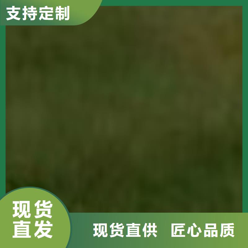 护栏好货直供