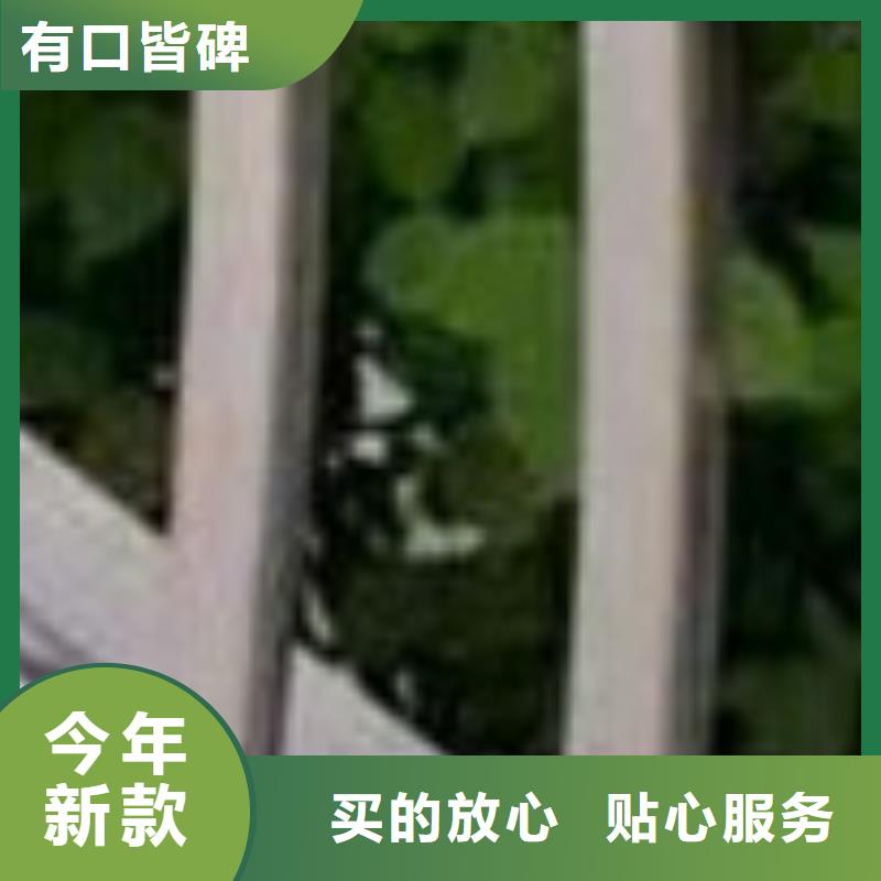 护栏款式新颖