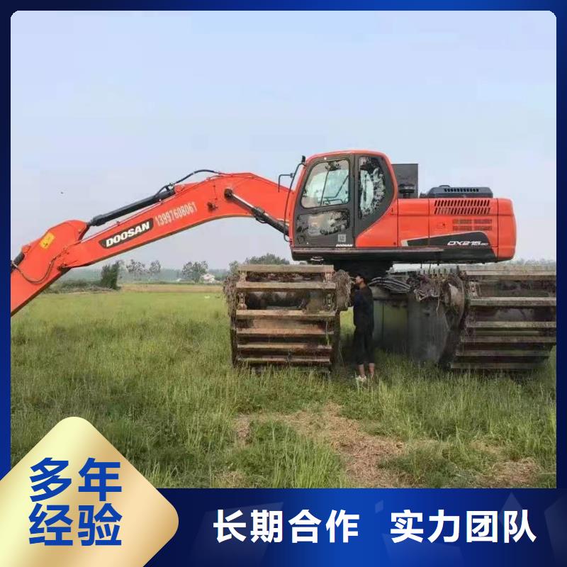 供应批发沼泽挖掘机-靠谱
