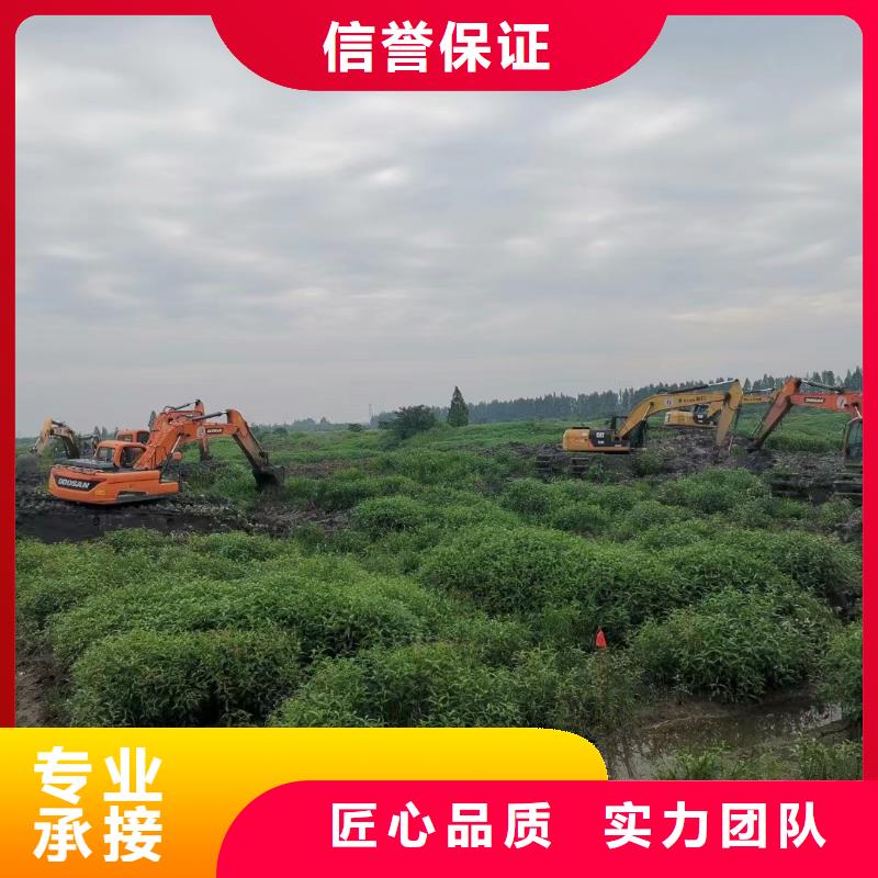 发货及时的水陆挖机租赁厂家