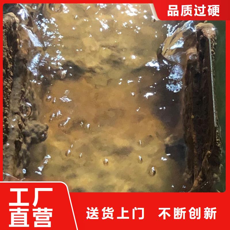 工业葡萄糖制造商