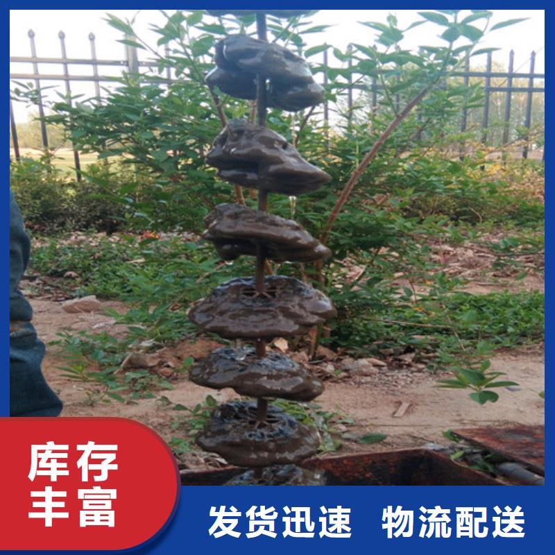污水处理一体化污水处理设备工厂价格