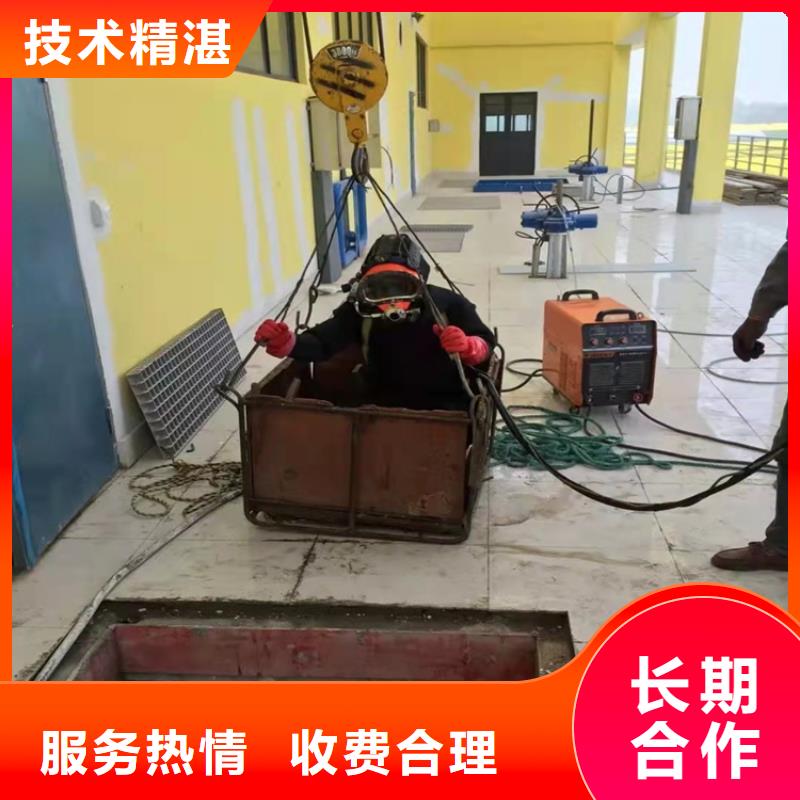 水下打捞队-视频-水下打捞队-安徽省安庆市岳西|太湖|铜陵|池州|巢湖|滁州|阜阳(周边)制造商