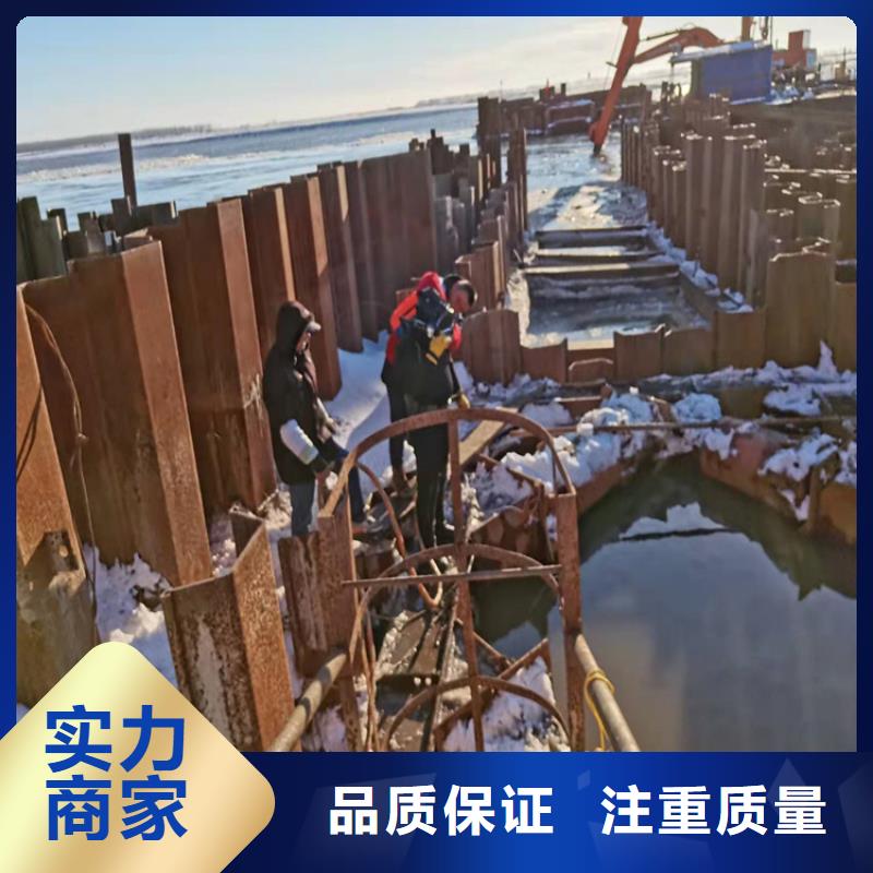 水下打捞队-视频-振安|元宝|铁岭|朝阳|阜新|盘锦水下打捞队高性价比-源美水下工程(丹东市分公司)