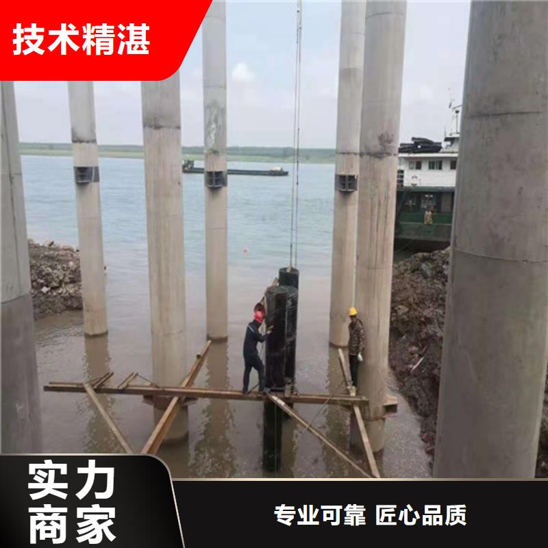 水下打捞队-视频-水下打捞队-安徽省安庆市岳西|太湖|铜陵|池州|巢湖|滁州|阜阳(周边)制造商