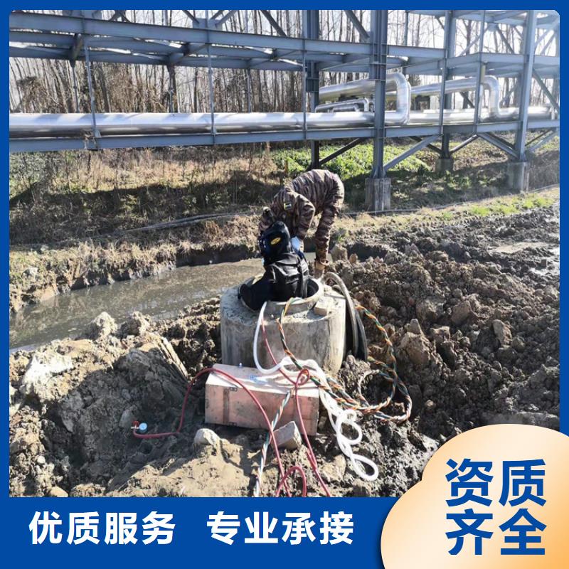 水下作业潜水堵漏欢迎询价
