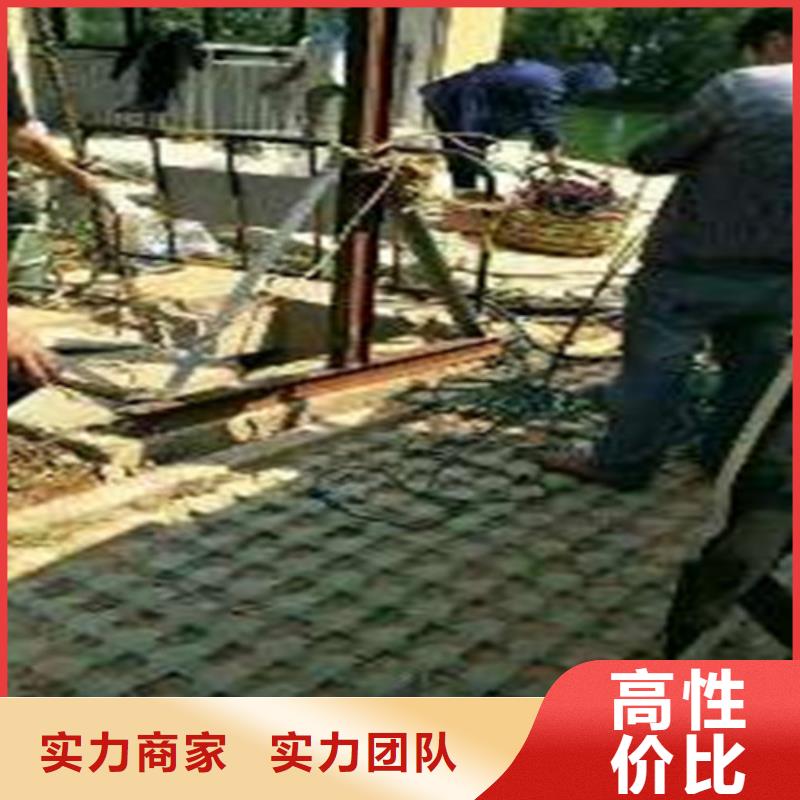 水下打捞队视频-水下打捞队|安徽省亳州市|利辛|蒙城|铜陵|巢湖|池州|滁州|宿州|阜阳