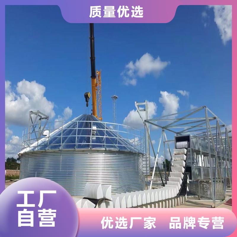库存充足的立筒装配式粮仓钢板仓批发商