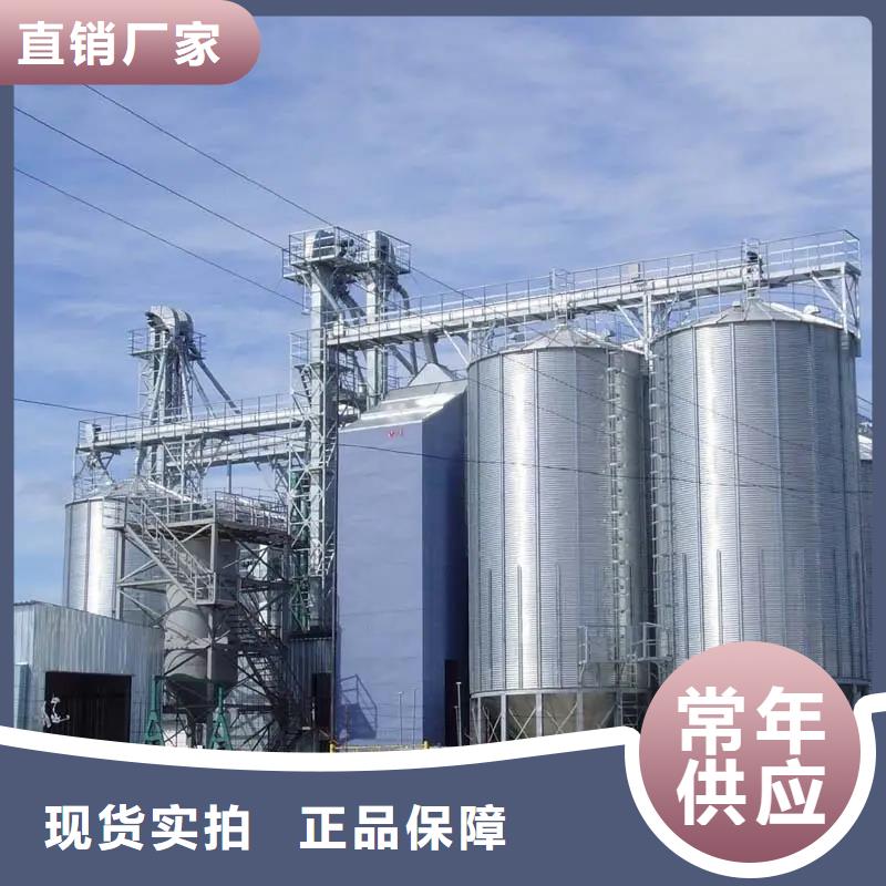 实力雄厚的600吨玉米钢板仓生产厂家