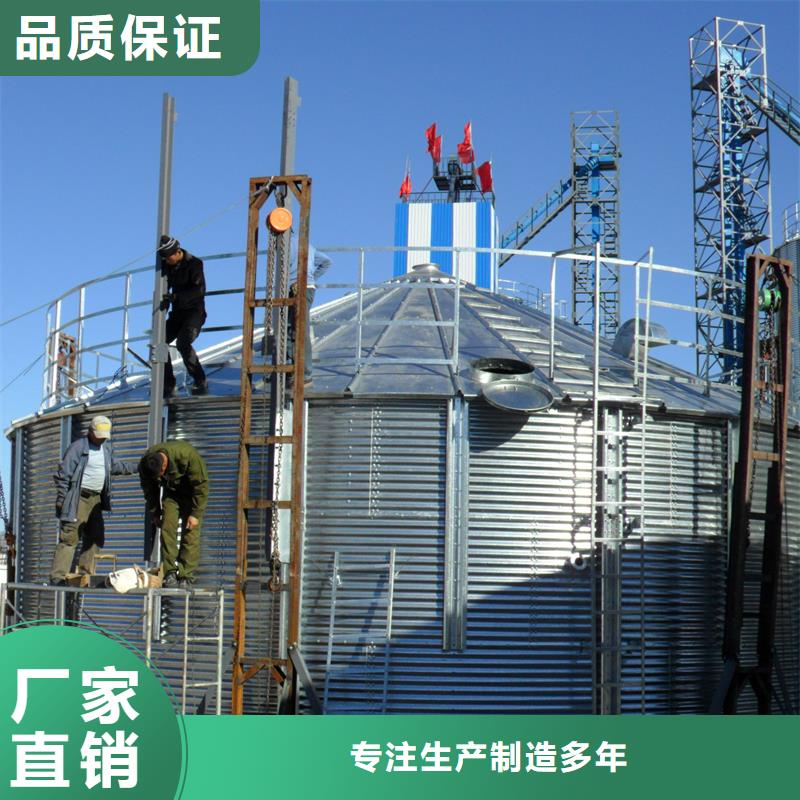 规格全的粮食立式筒仓现货厂家