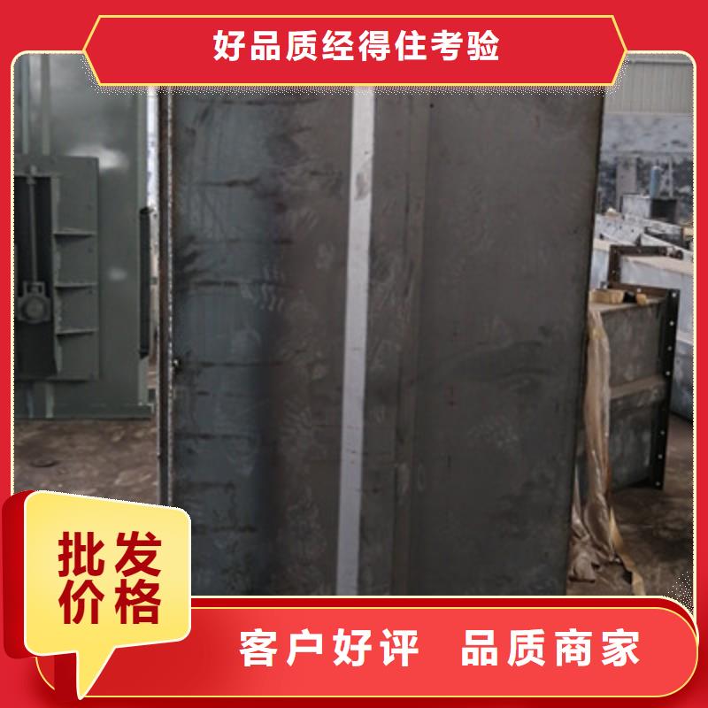 TH圆环链型斗式机承诺守信