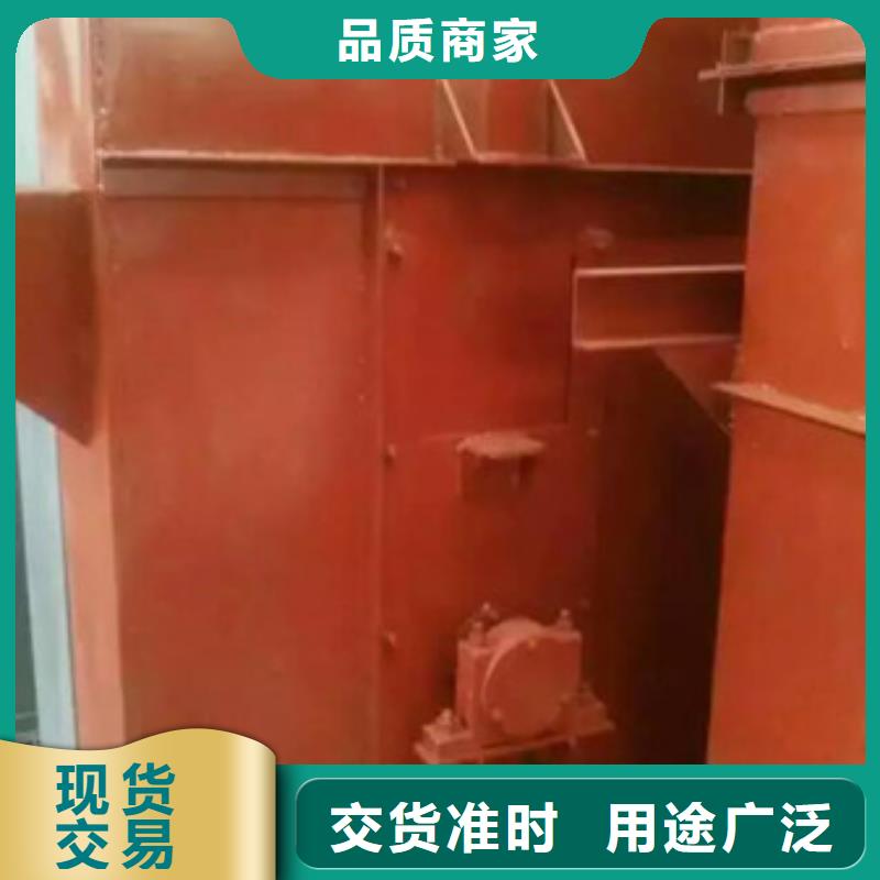 NE100链板斗式机实体大厂