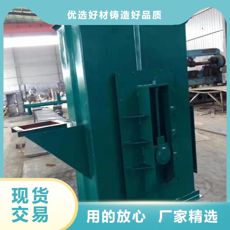 NE100链板斗式机实体大厂