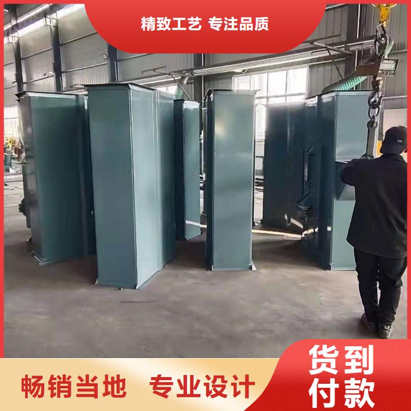 NE板链型斗式机欢迎来电