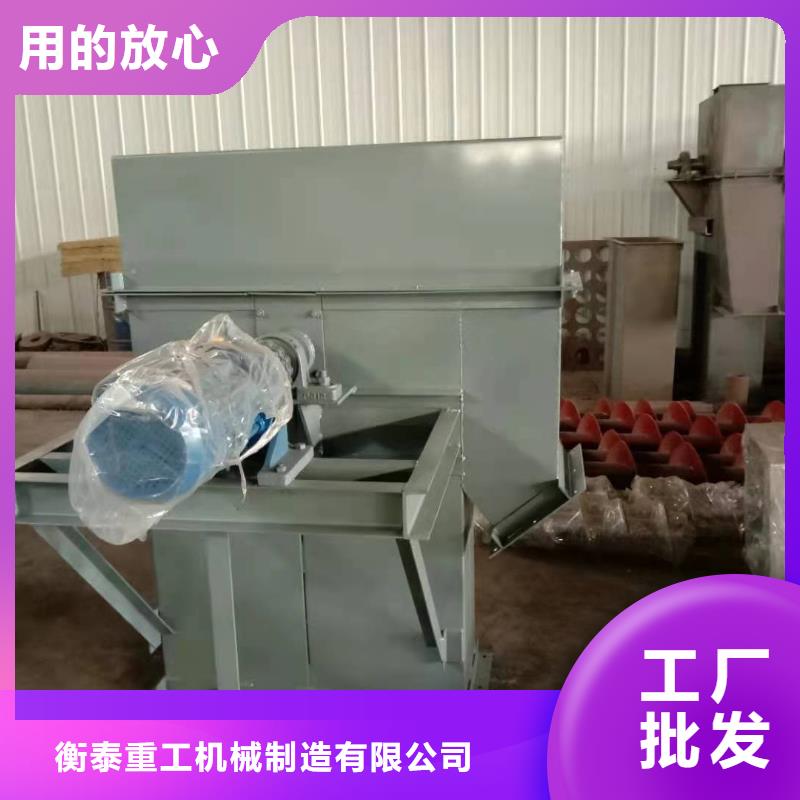 NE100链板斗式机实体大厂