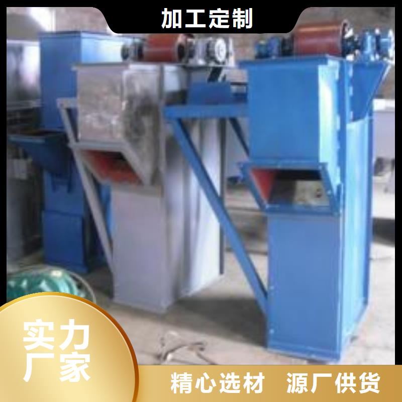 NE板链型斗式机欢迎来电
