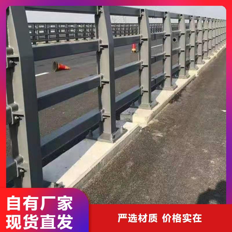 规格齐全的市政护栏供货商